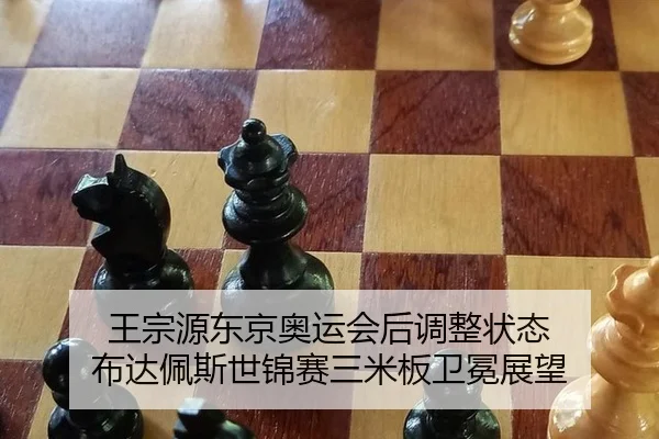 王宗源东京奥运会后调整状态 布达佩斯世锦赛三米板卫冕展望
